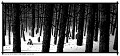 Child 44